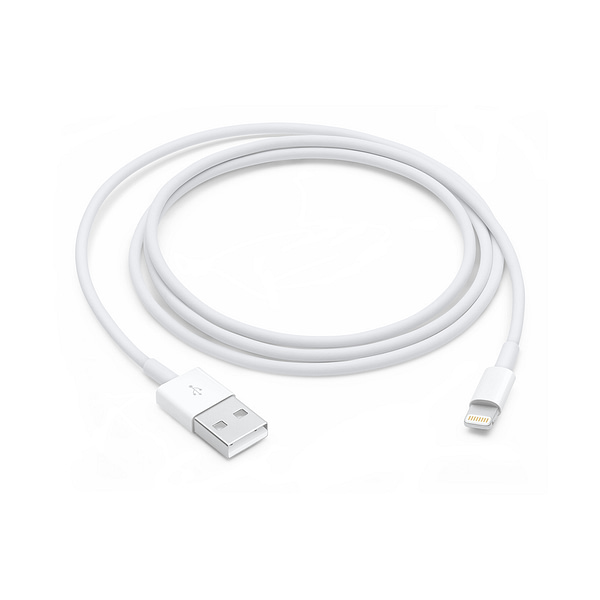 Lightning to USB Cable (1 m)